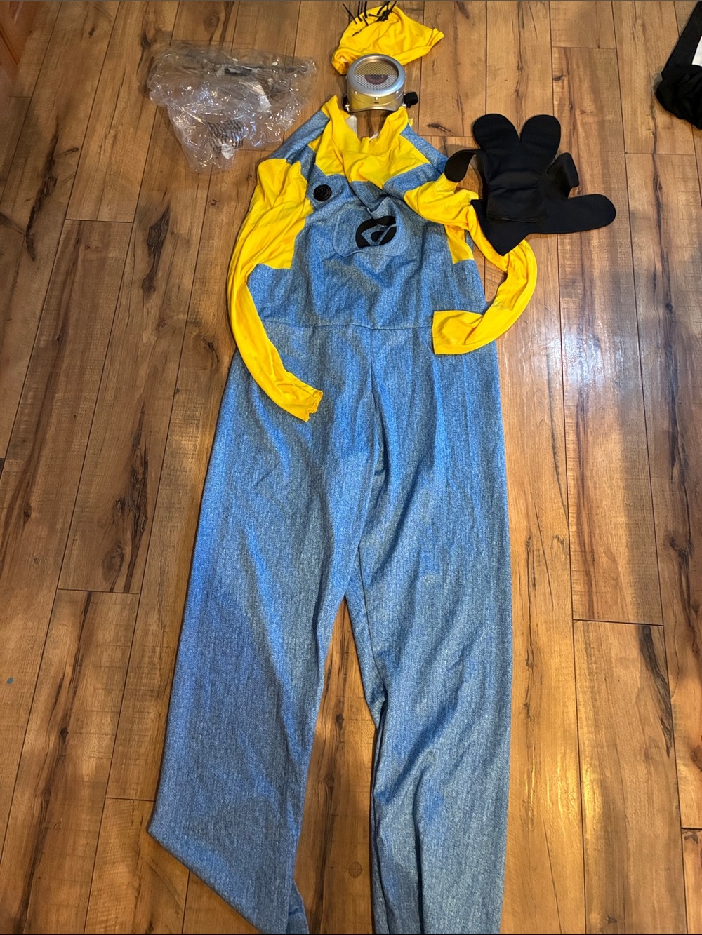 Minions Halloween Costume